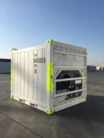 Conteneur réfrigéré DNV de 10 pieds